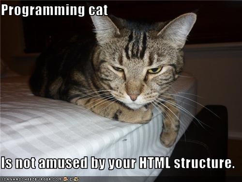 Programming cat