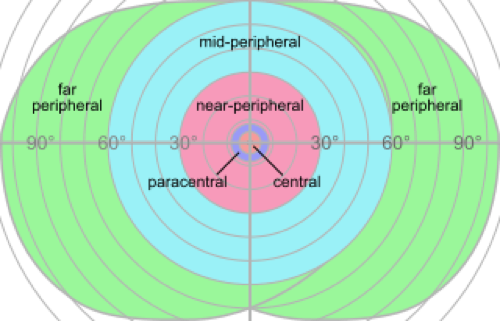 pupil shapes